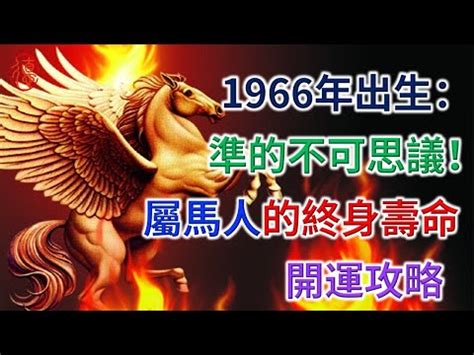 1966屬什麼|【1966年屬什麼】1966年生肖屬什麼？水還是火？命運揭曉！